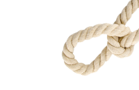 NG电子集团|国际站官网