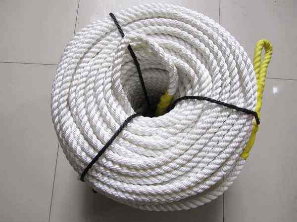 NG电子集团|国际站官网