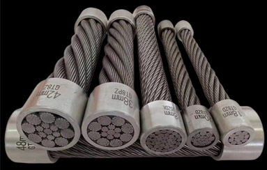 NG电子集团|国际站官网